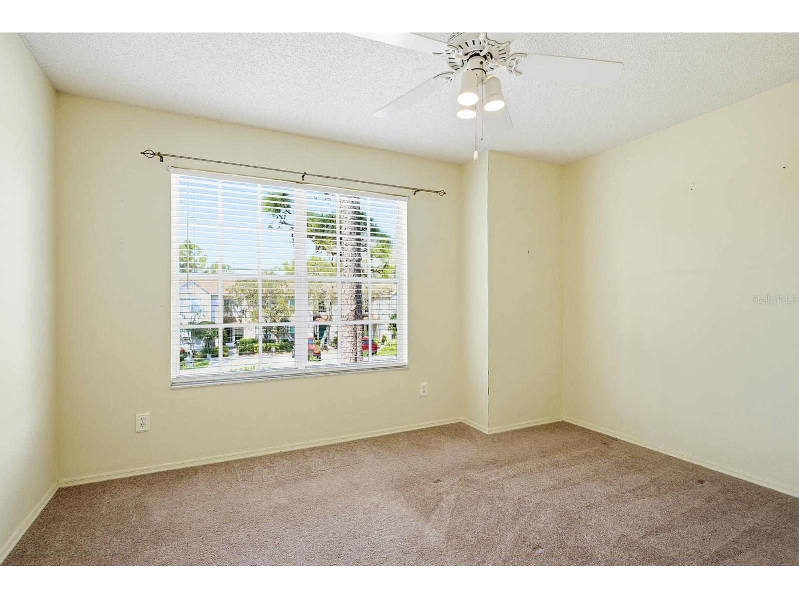 2128 Clover Hill Road Palm Harbor FL 34683 TB8475521 image31