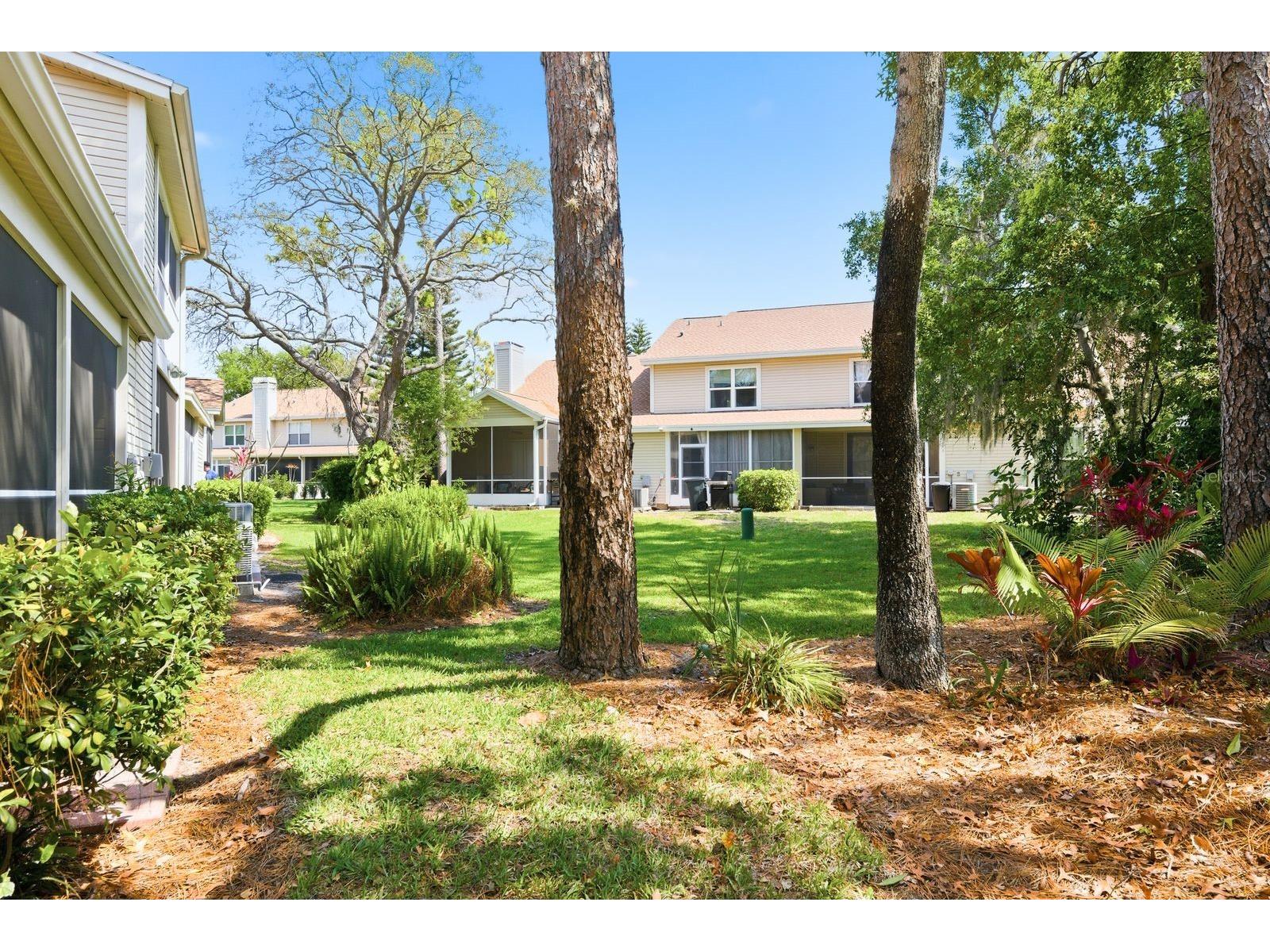 2128 Clover Hill Road Palm Harbor FL 34683 TB8475521 image37