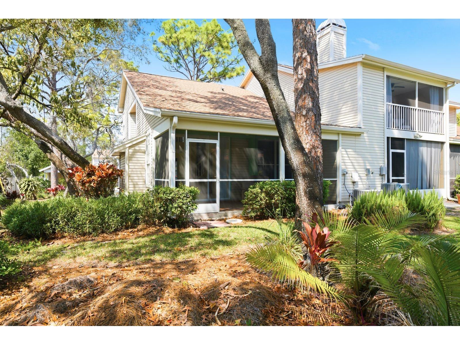 2128 Clover Hill Road Palm Harbor FL 34683 TB8475521 image38