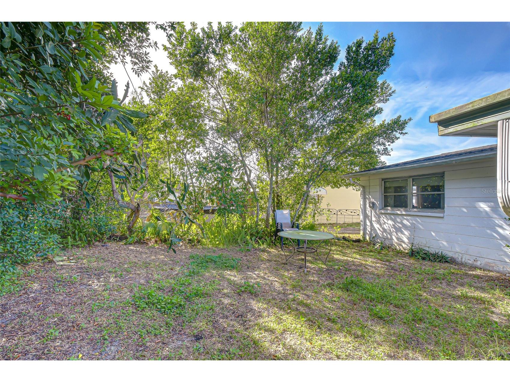 2128 Shannon Drive Holiday FL 34690 TB8463832 image21