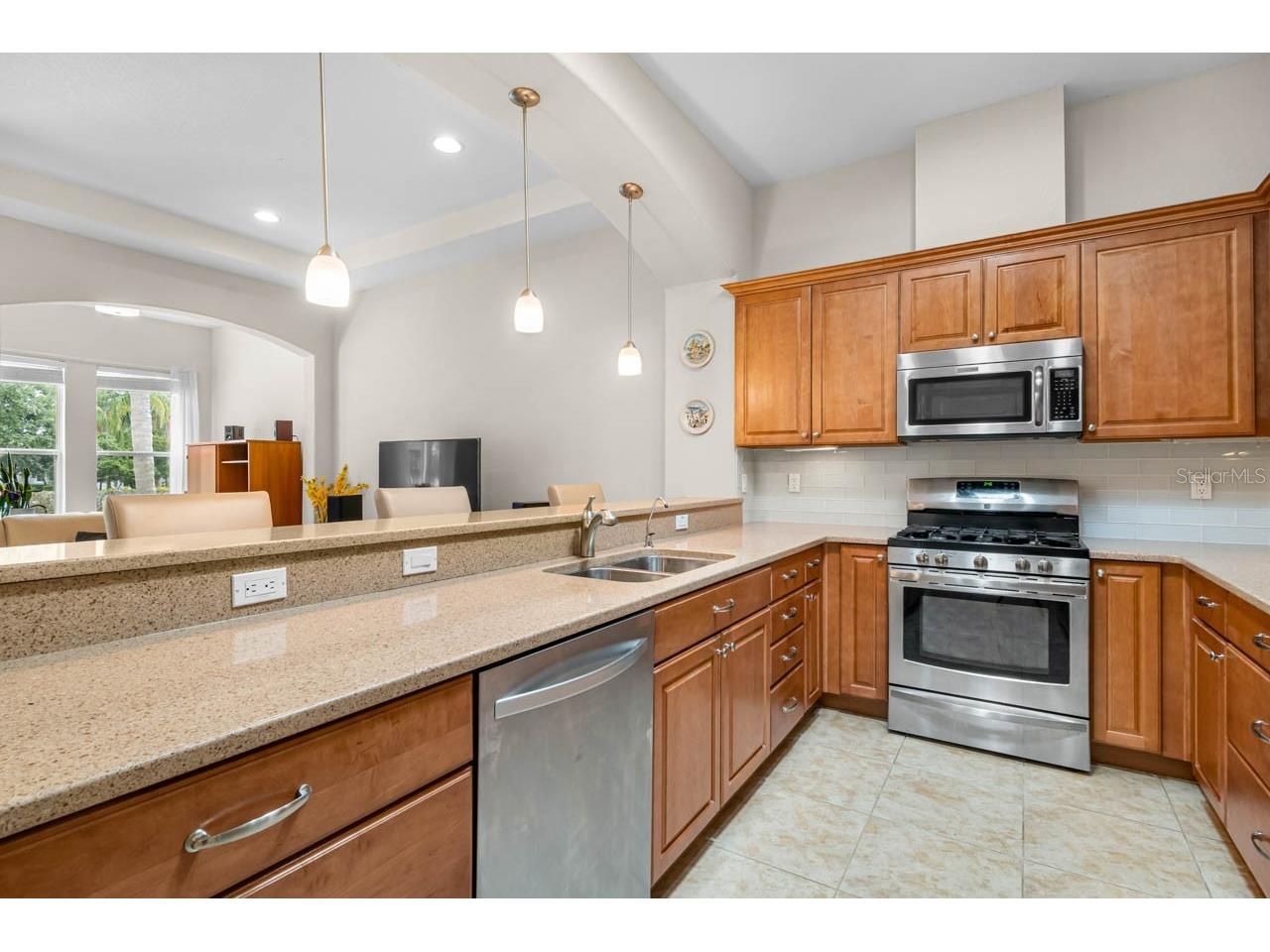 2128 Sifield Greens Way #13 Sun City Center FL 33573 TB8519699 image13