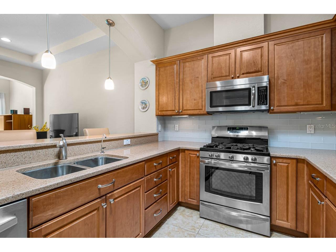 2128 Sifield Greens Way #13 Sun City Center FL 33573 TB8519699 image14