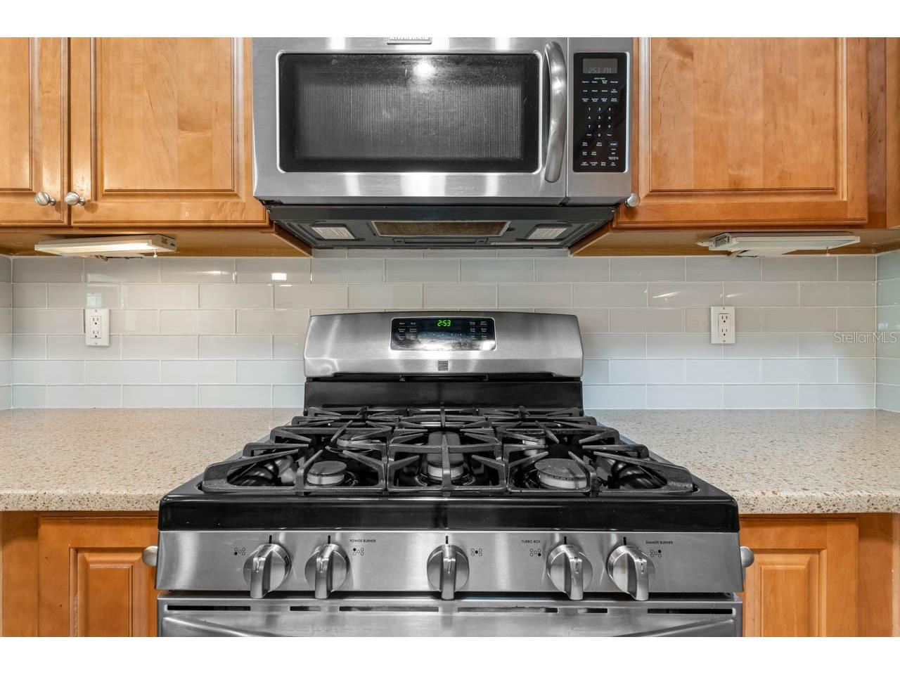 2128 Sifield Greens Way #13 Sun City Center FL 33573 TB8519699 image17