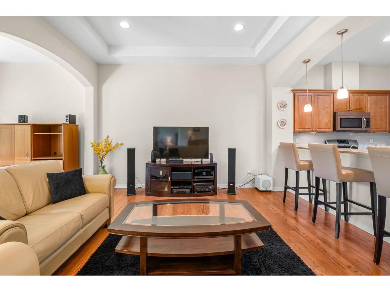 2128 Sifield Greens Way #13 Sun City Center FL 33573 TB8519699 image8