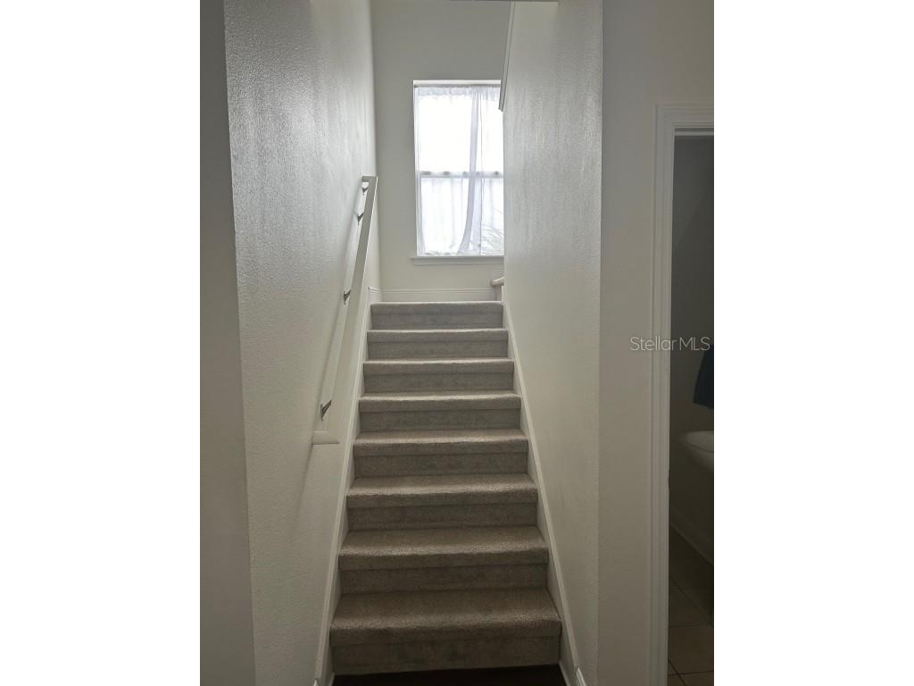 2128 W Walnut Street Tampa FL 33607 TB8384393 image7