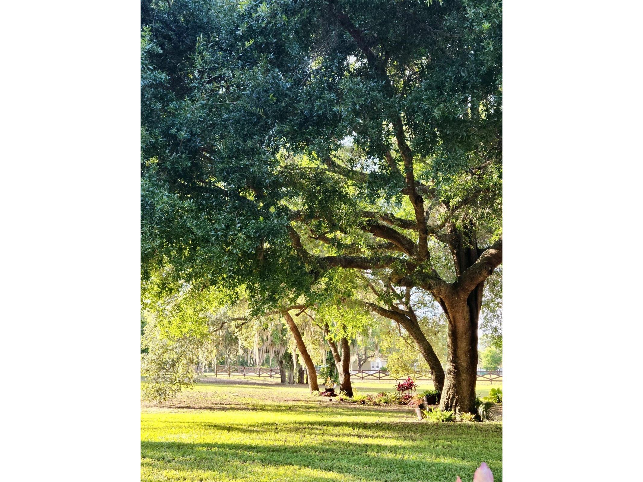 21289 County Road 455 Clermont FL 34715 G5110919 image36