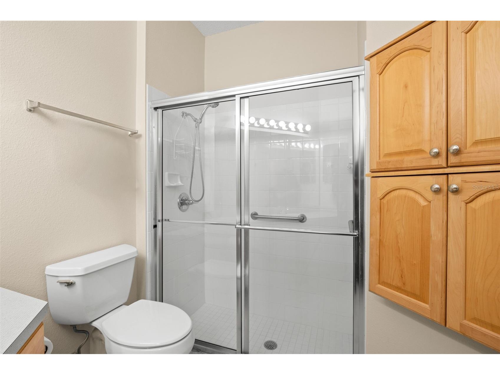 2129 Acadia Greens Drive Sun City Center FL 33573 TB8509569 image33