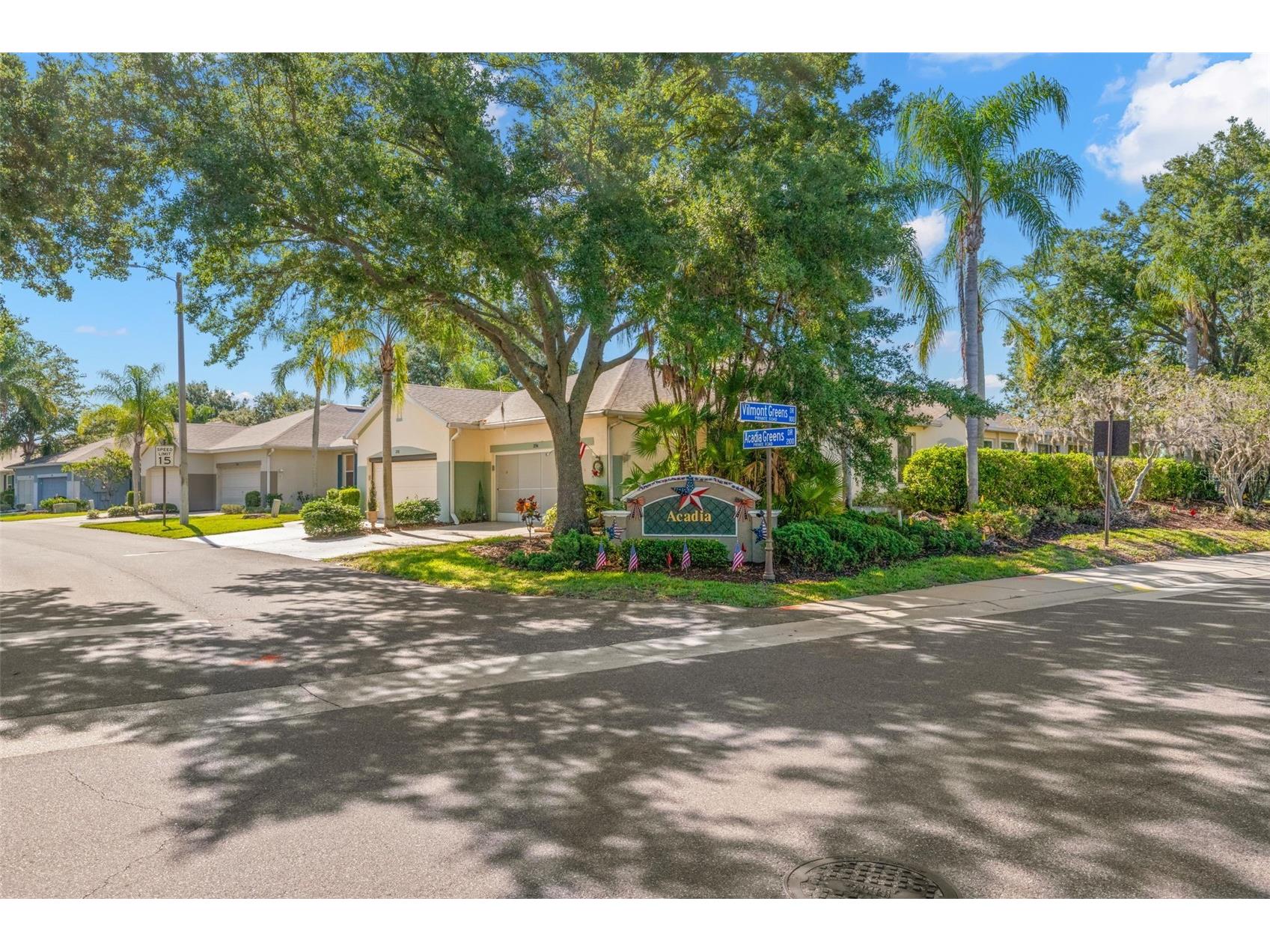 2129 Acadia Greens Drive Sun City Center FL 33573 TB8509569 image47