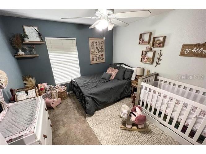 2129 N Pine Cone Avenue Lecanto FL 34461 W7882405 image27