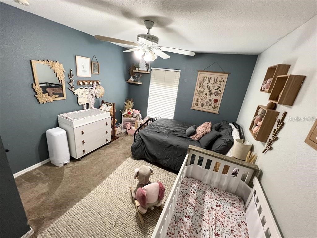 2129 N Pine Cone Avenue Lecanto FL 34461 W7882405 image46
