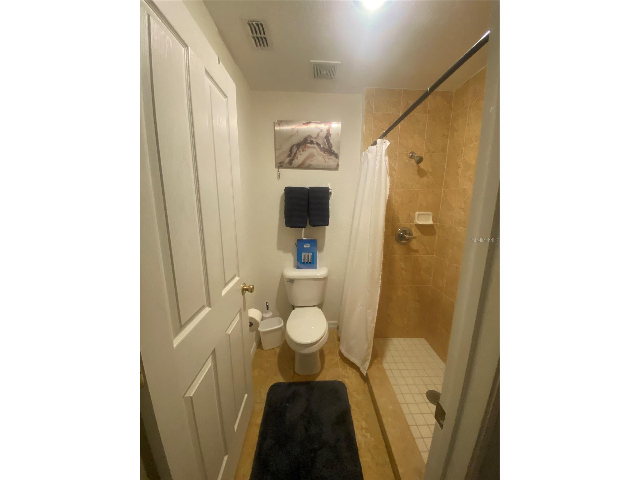 2129 N Pine Cone Avenue Lecanto FL 34461 W7882405 image57
