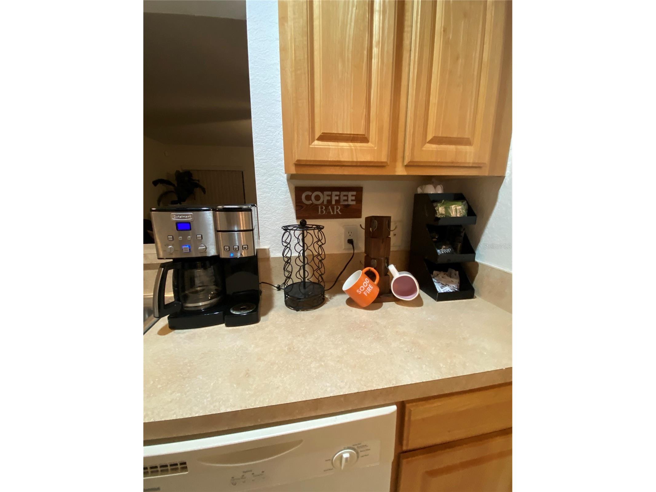 2129 N Pine Cone Avenue Lecanto FL 34461 W7882405 image63