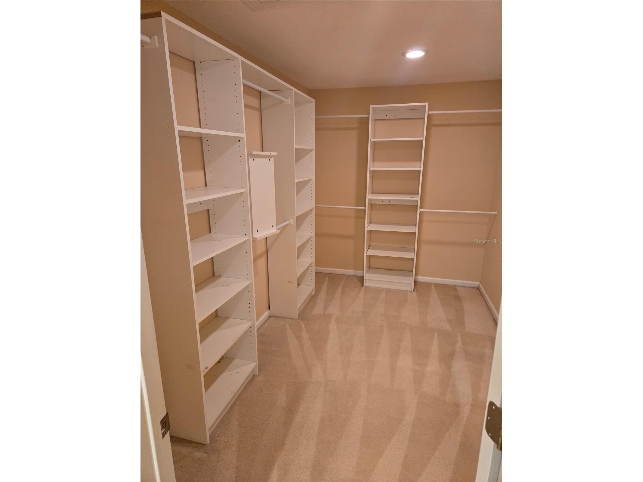 213 Arlington Avenue E Oldsmar FL 34677 TB8509657 image13