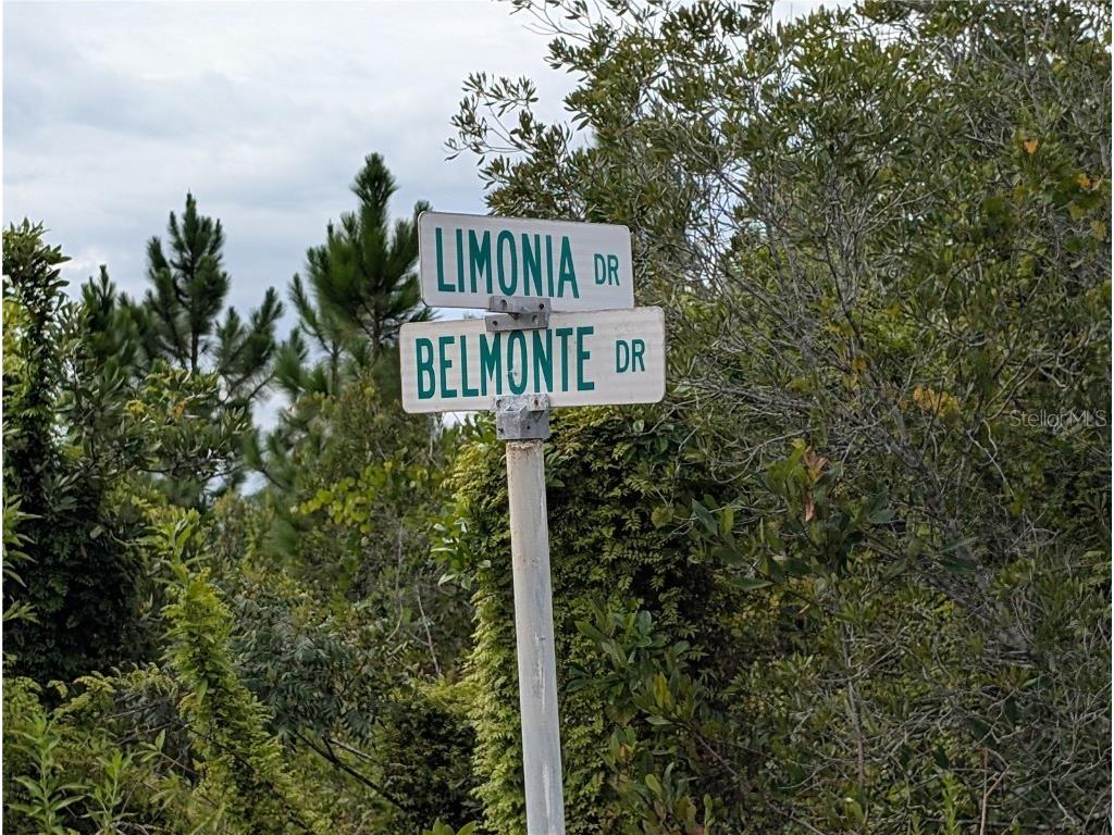 213 Belmonte Drive Indian Lake Estates FL 33855 - LAKE WALK-IN-WATER TB8415350 image1