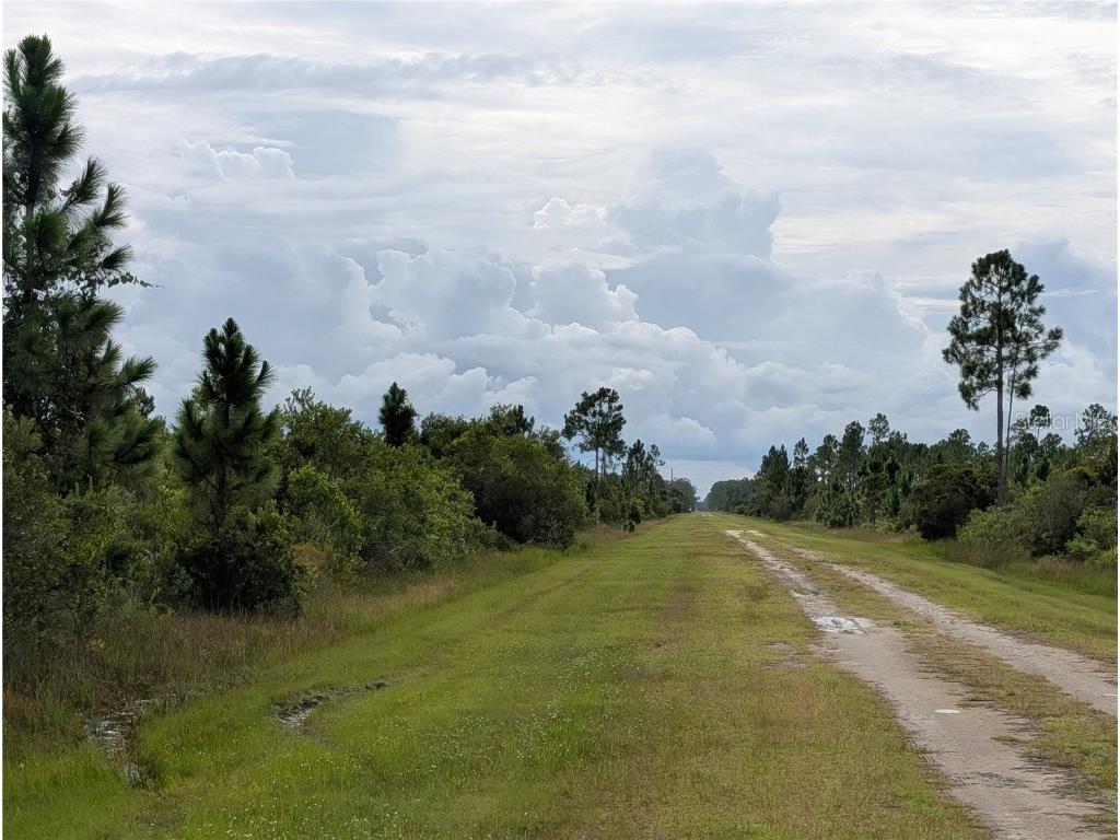213 Belmonte Drive Indian Lake Estates FL 33855 - LAKE WALK-IN-WATER TB8415350 image2