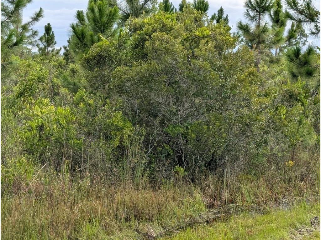213 Belmonte Drive Indian Lake Estates FL 33855 - LAKE WALK-IN-WATER TB8415350 image3