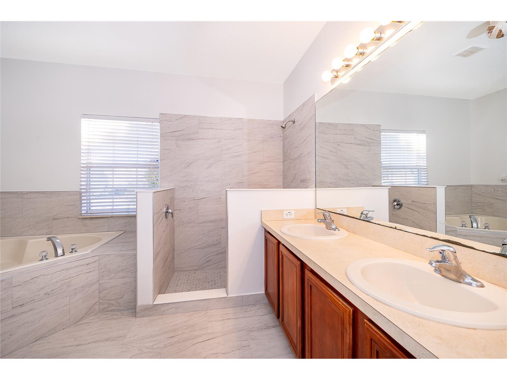213 Big Black Drive Kissimmee FL 34759 S5142262 image8