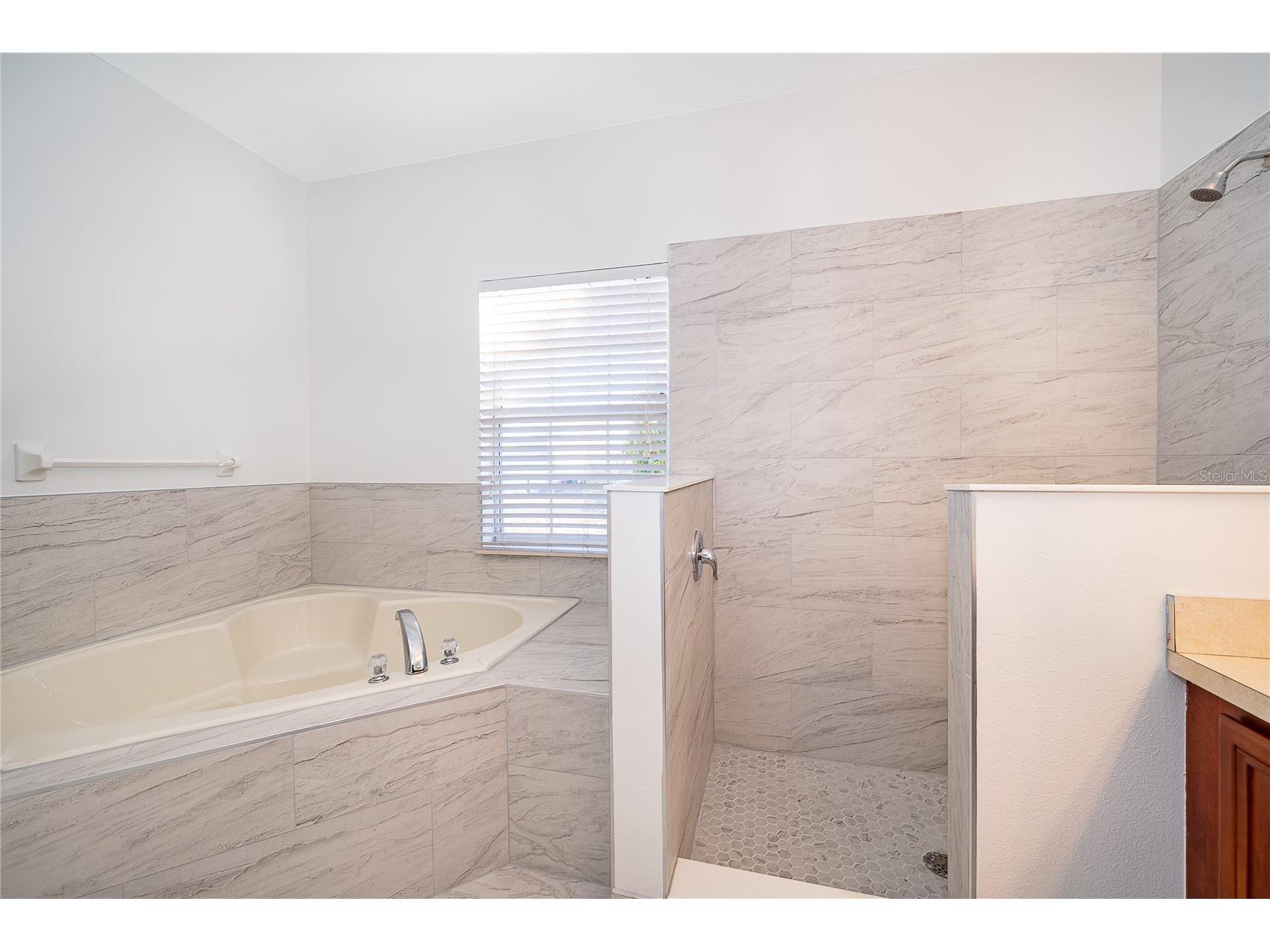 213 Big Black Drive Kissimmee FL 34759 S5142262 image9