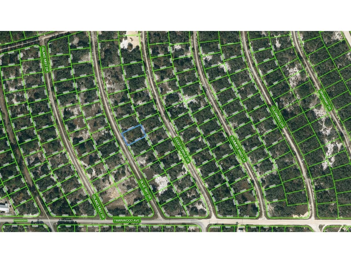 213 Blue Sky Drive Lake Placid FL 33852 OM623561 image1