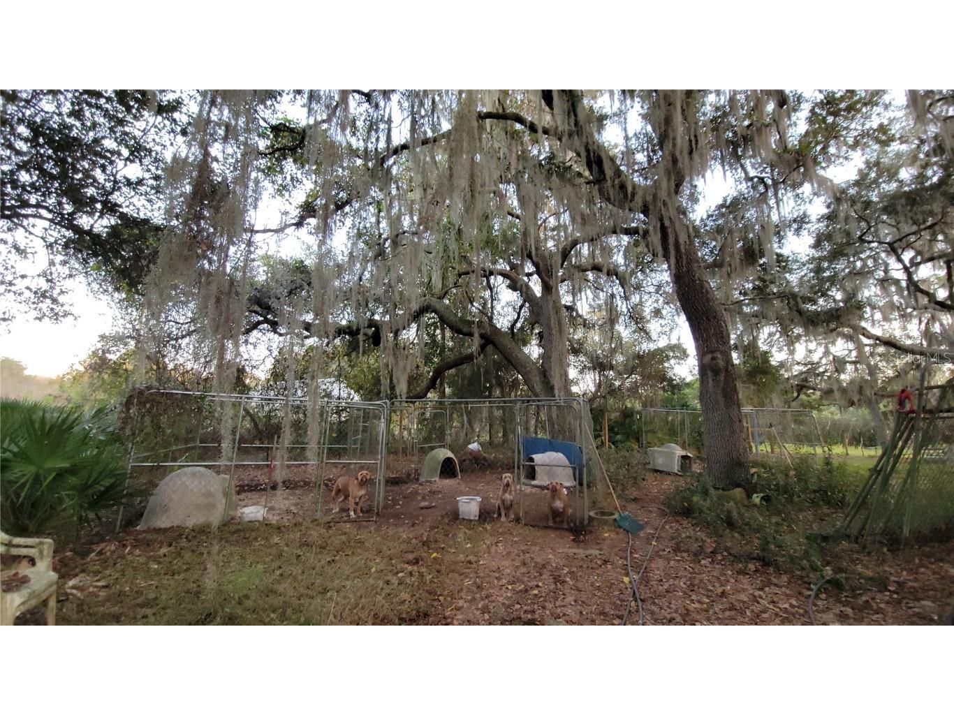 213 Clifton Road Crescent City FL 32112 V4941178 image42