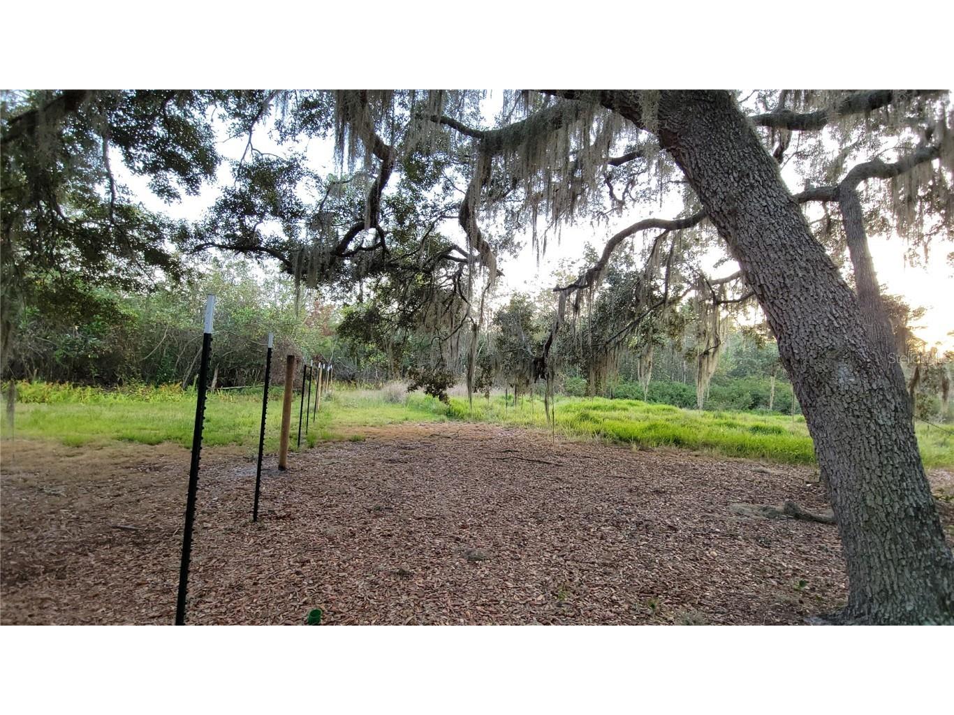 213 Clifton Road Crescent City FL 32112 V4941178 image43