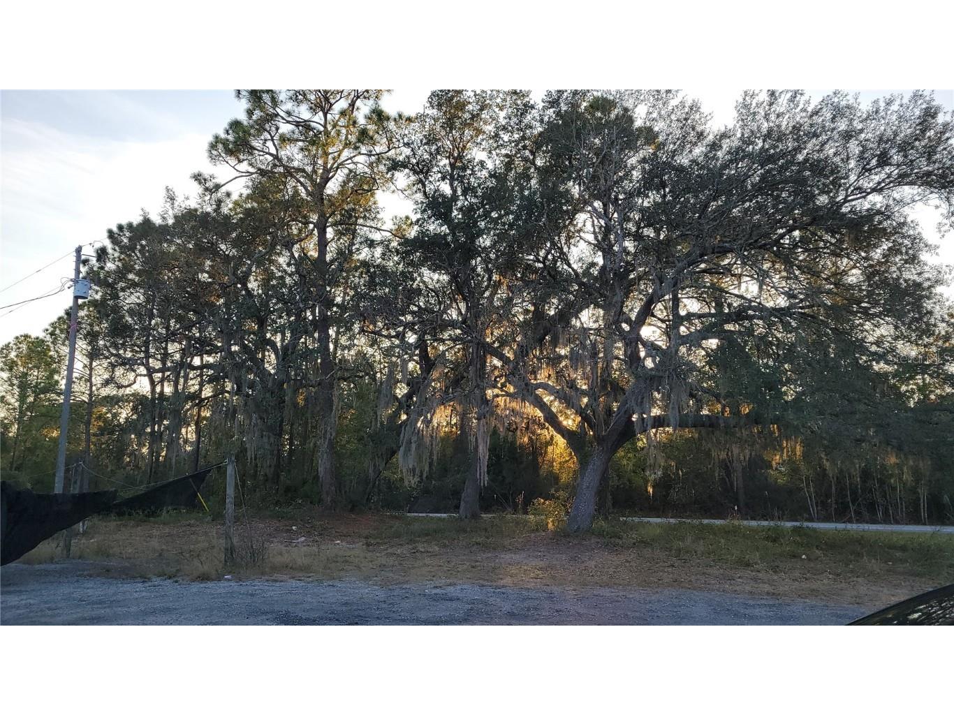 213 Clifton Road Crescent City FL 32112 V4941183 image42