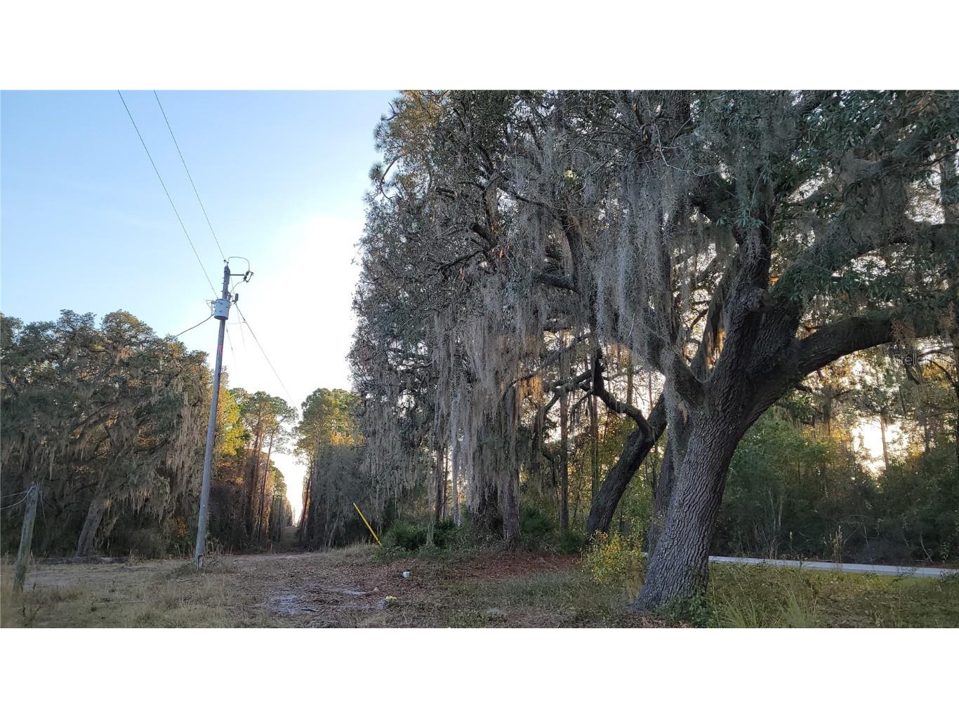 213 Clifton Road Crescent City FL 32112 V4941183 image46