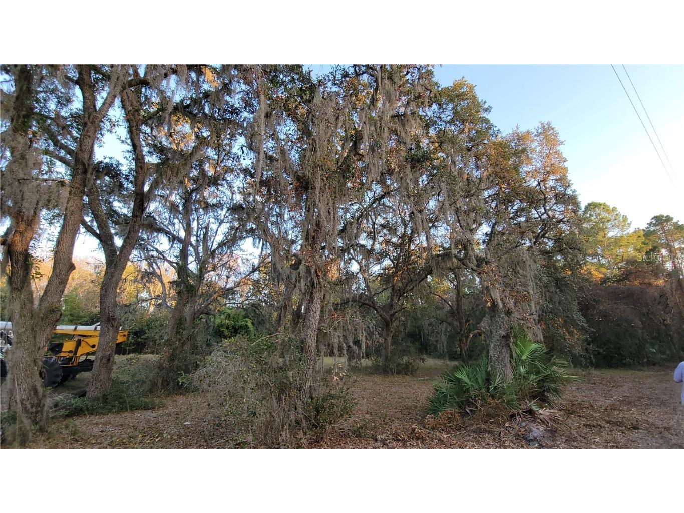 213 Clifton Road Crescent City FL 32112 V4941183 image47