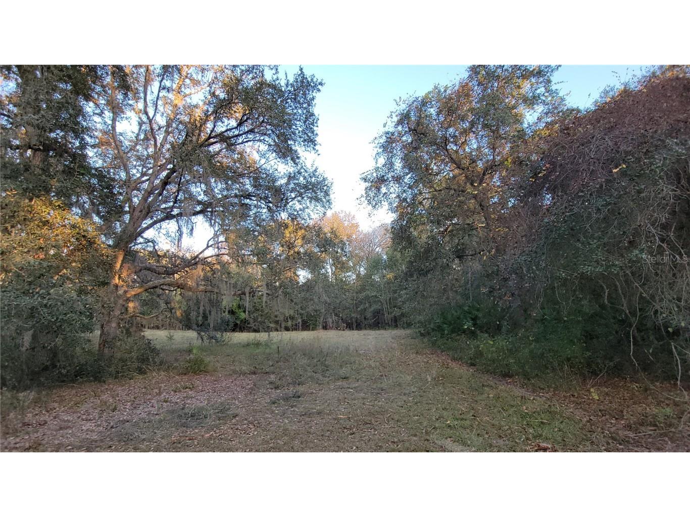 213 Clifton Road Crescent City FL 32112 V4941183 image48