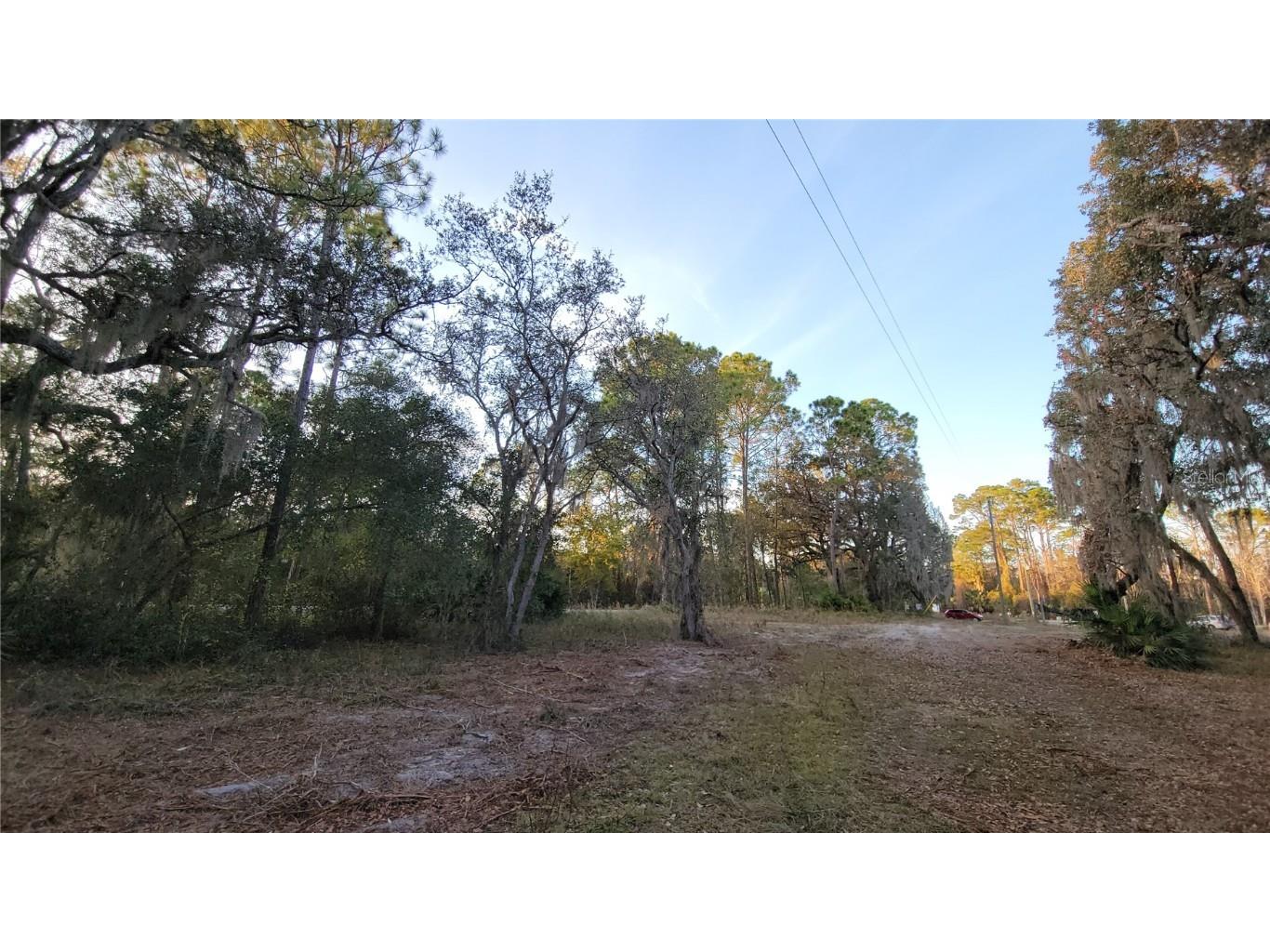 213 Clifton Road Crescent City FL 32112 V4941183 image49