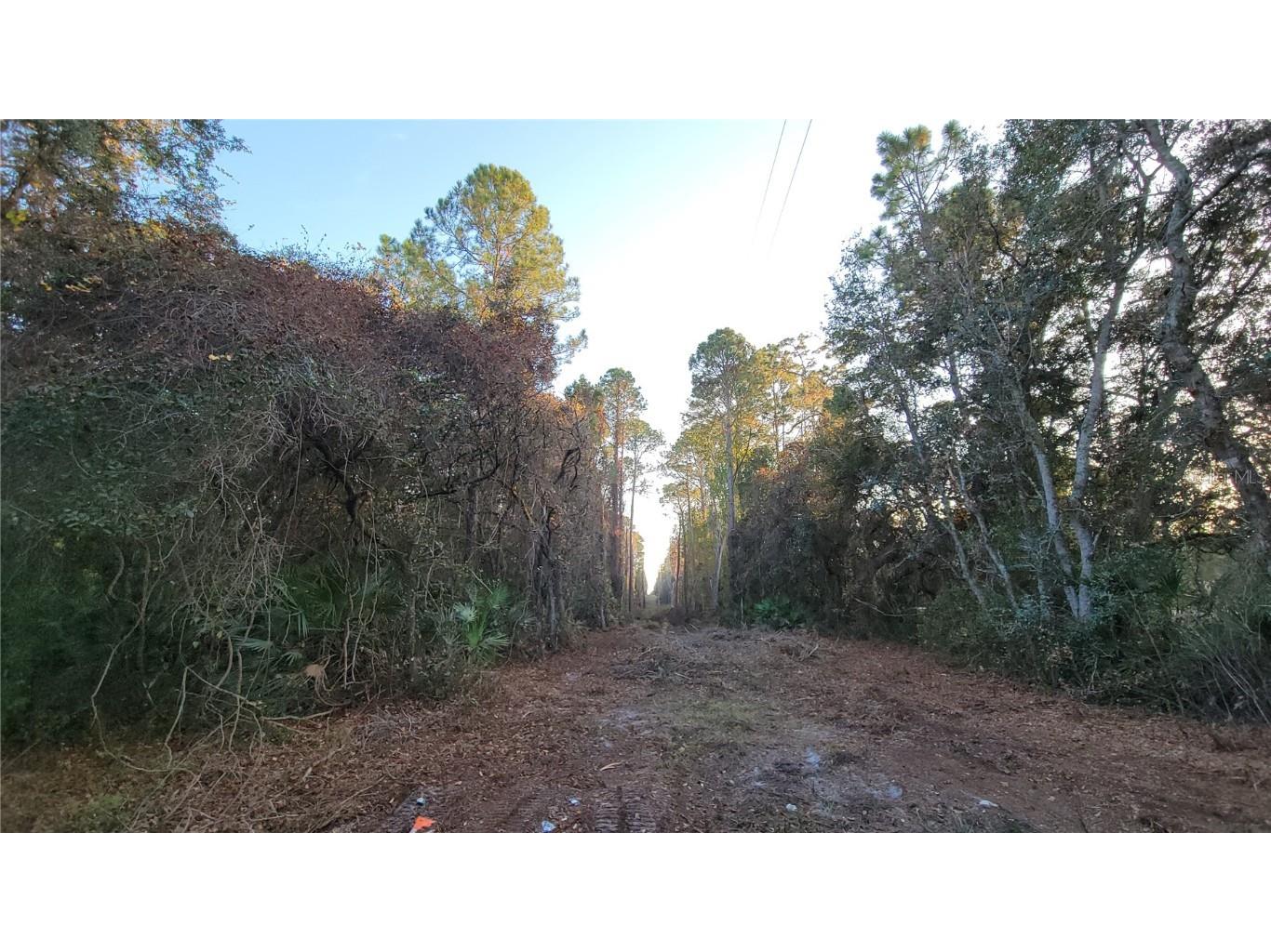 213 Clifton Road Crescent City FL 32112 V4941183 image50