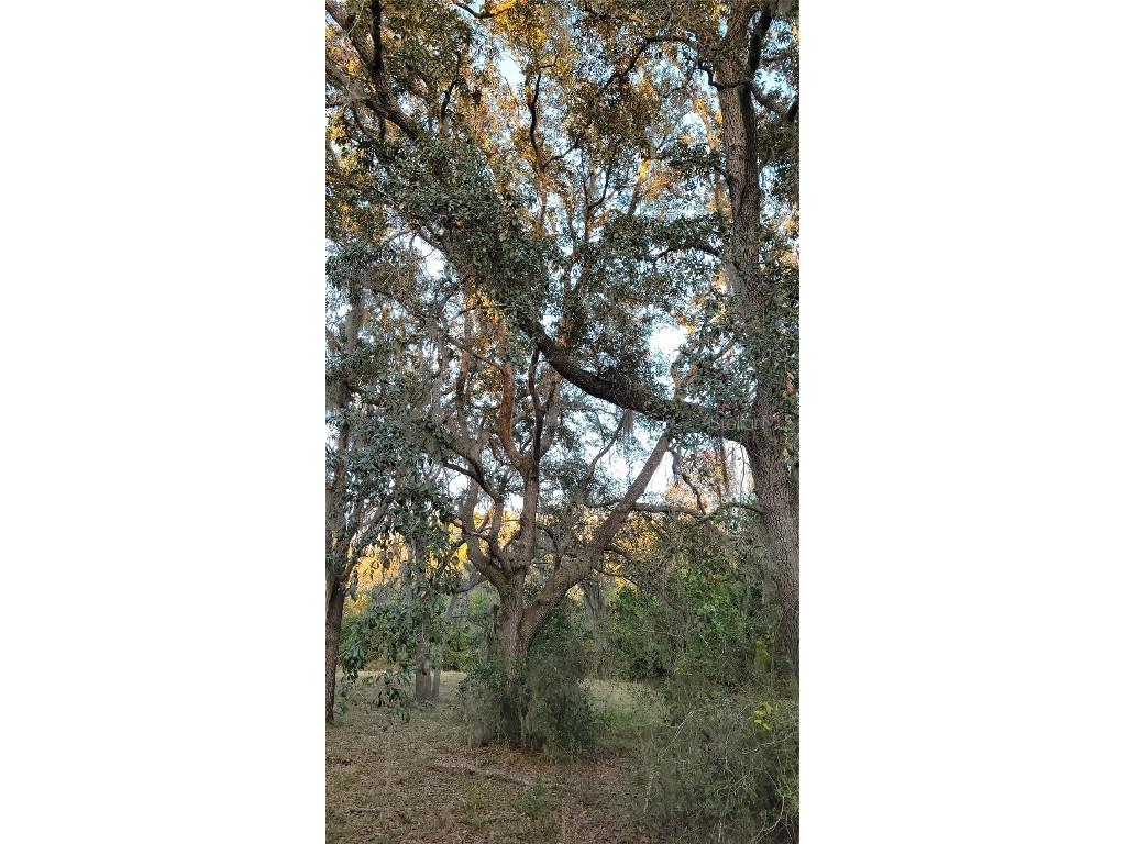 213 Clifton Road Crescent City FL 32112 V4941183 image51