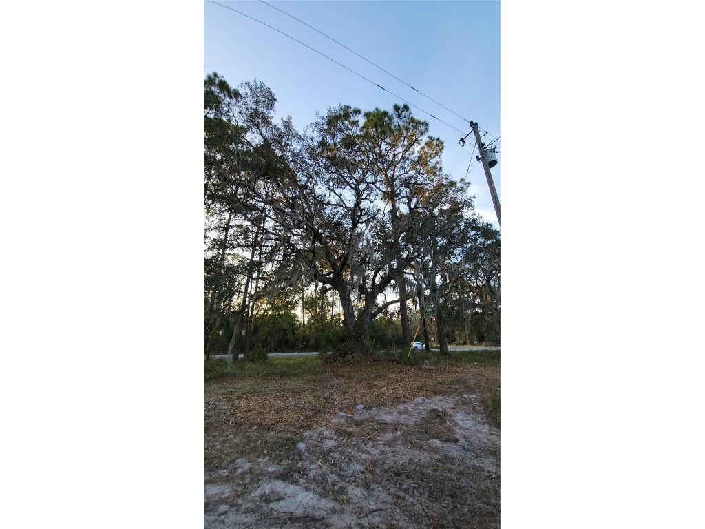 213 Clifton Road Crescent City FL 32112 V4941183 image52