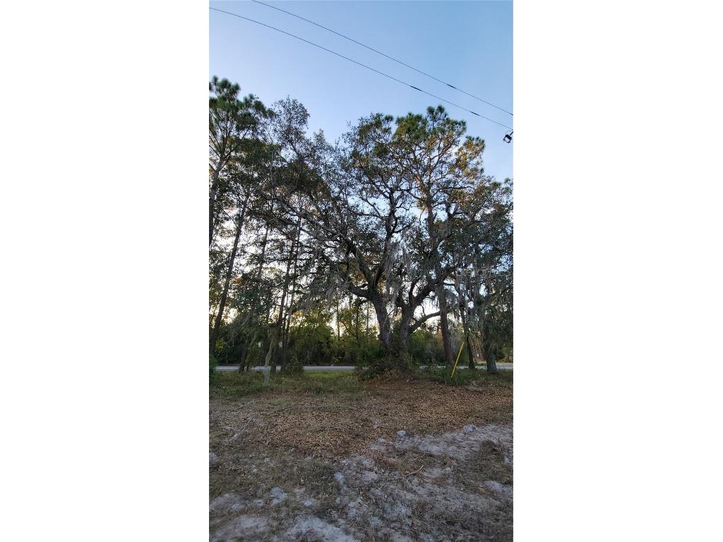 213 Clifton Road Crescent City FL 32112 V4941183 image53