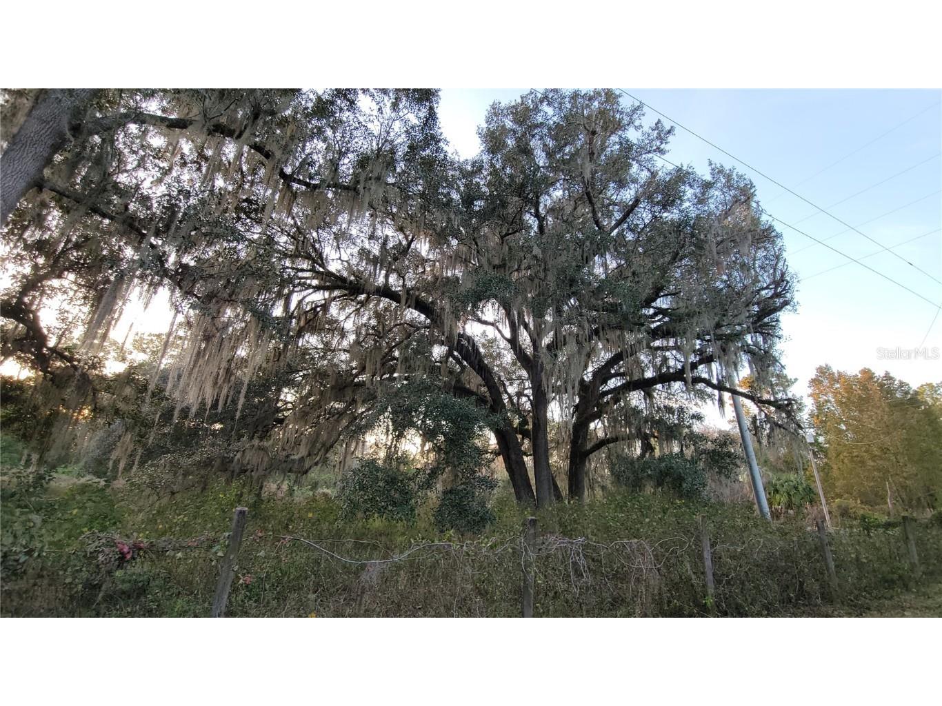 213 Clifton Road Crescent City FL 32112 V4941183 image54