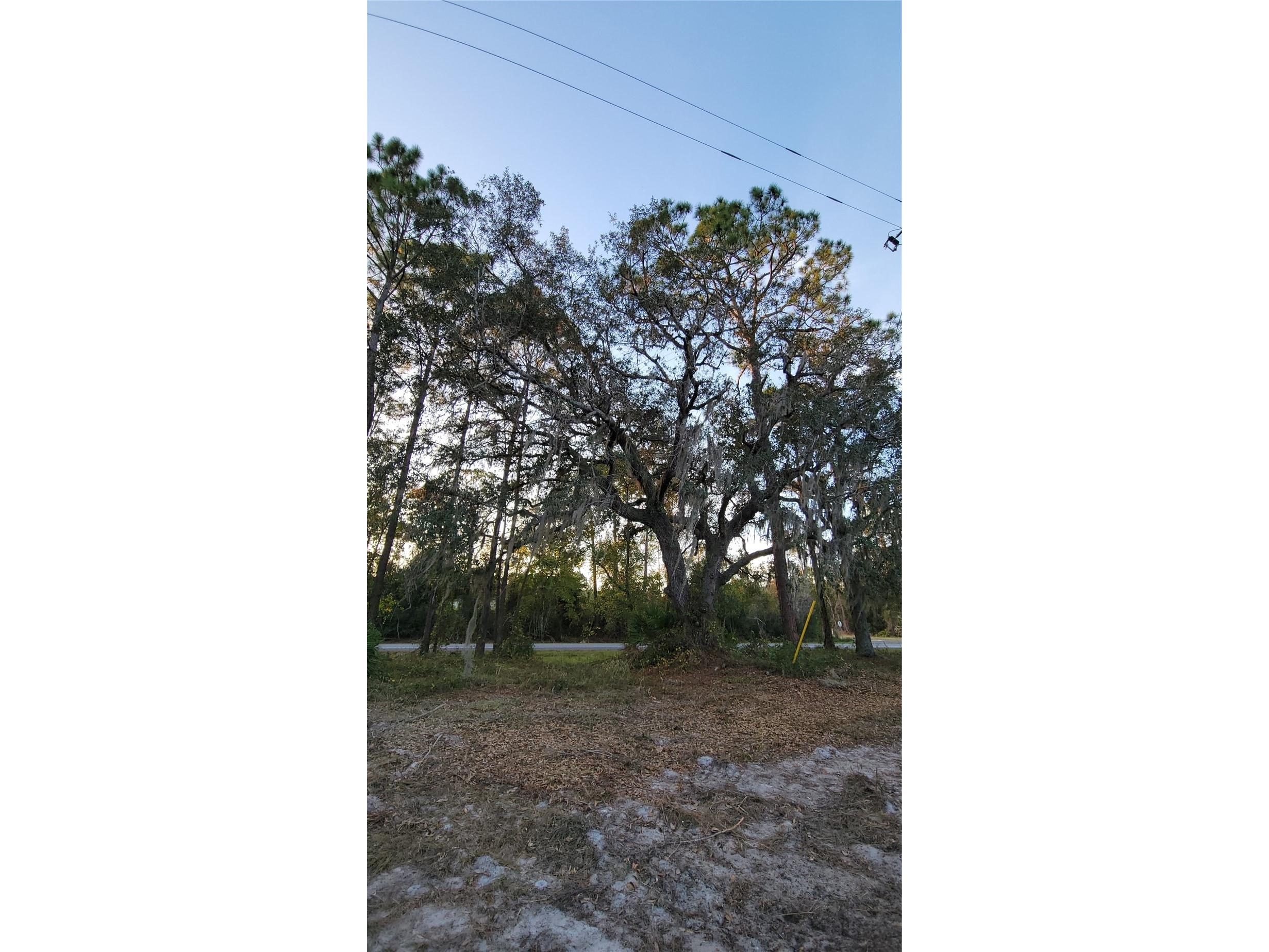 213 Clifton Road Crescent City FL 32112 V4941183 image56