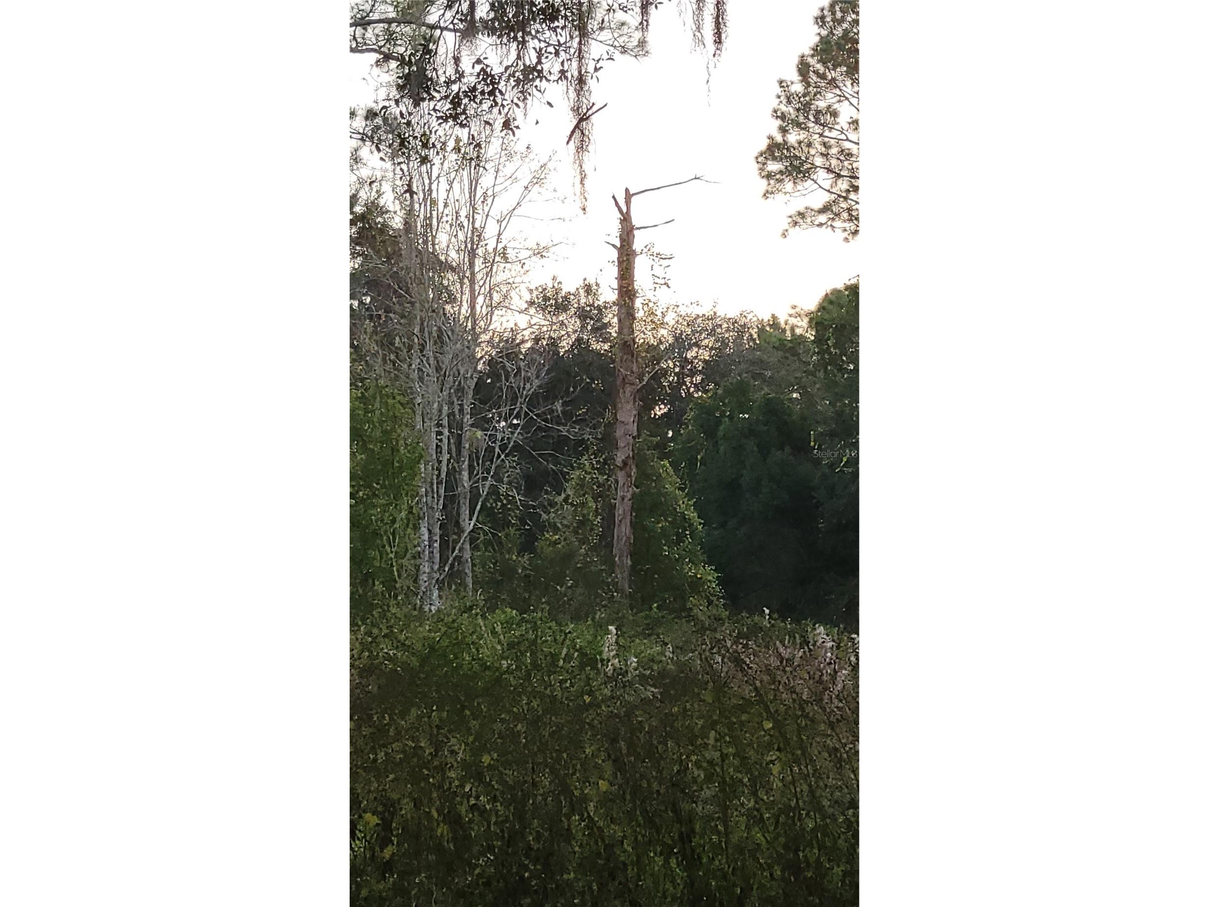 213 Clifton Road Crescent City FL 32112 V4941183 image58