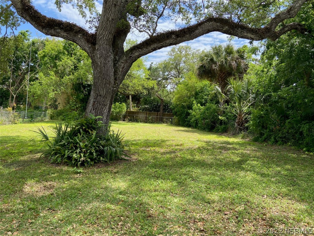 213 Cedar Avenue New Smyrna Beach FL 32169 NS1068471 image1