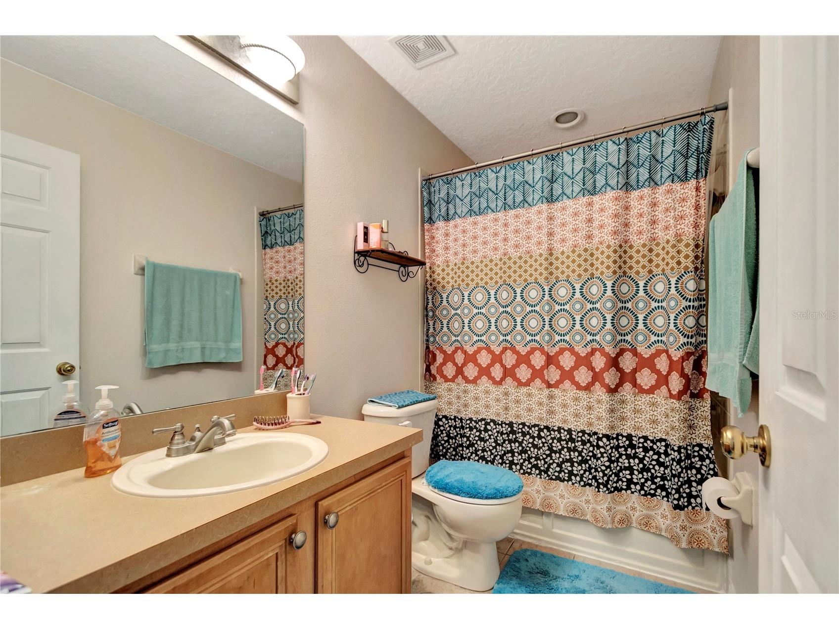 213 Draw Bridge Lane Valrico FL 33594 TB8497846 image14