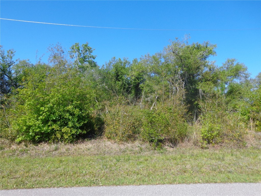 213 Evergreen Street Punta Gorda FL 33982 A4645226 image1