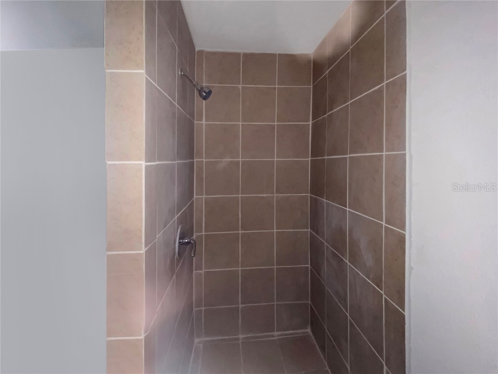 213 Herbert Street Auburndale FL 33823 P4936212 image9