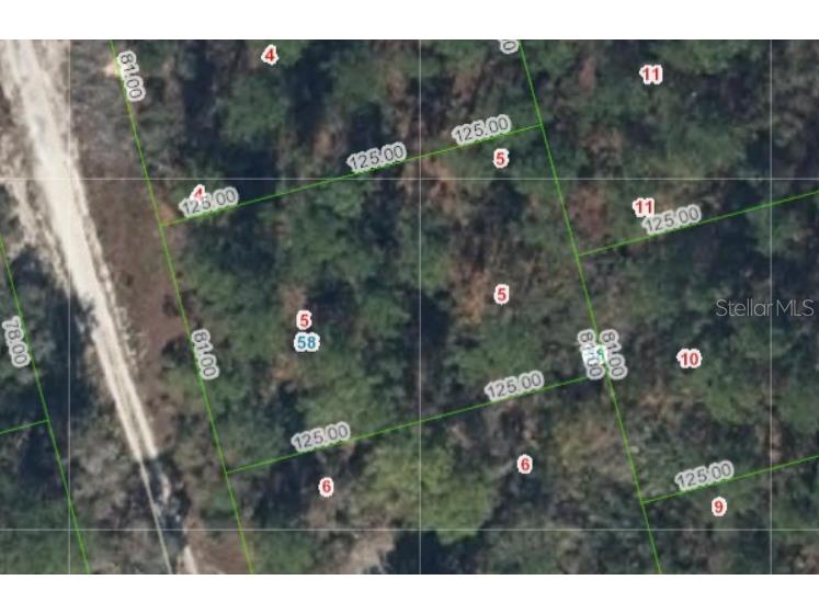 213 Imagination Drive Lake Placid FL 33852 P4930155 image1