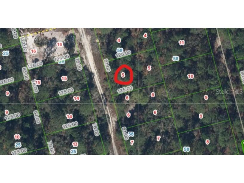 213 Imagination Drive Lake Placid FL 33852 P4930155 image2