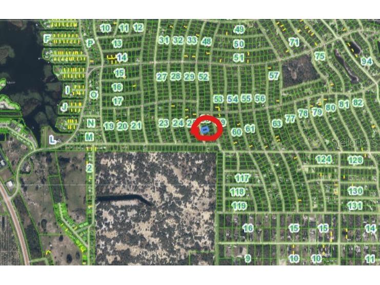 213 Imagination Drive Lake Placid FL 33852 P4930155 image9