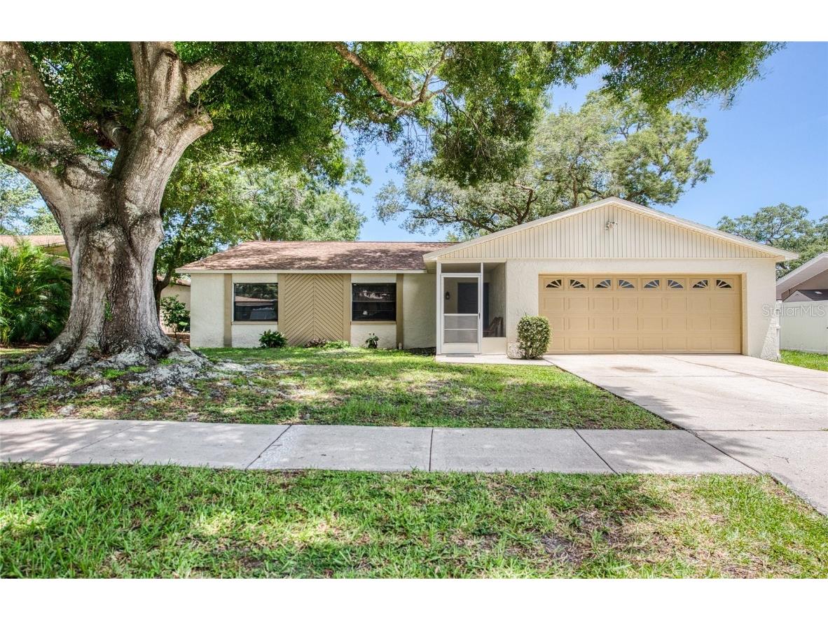 213 Lotus Drive Safety Harbor FL 34695 W7877151 image1