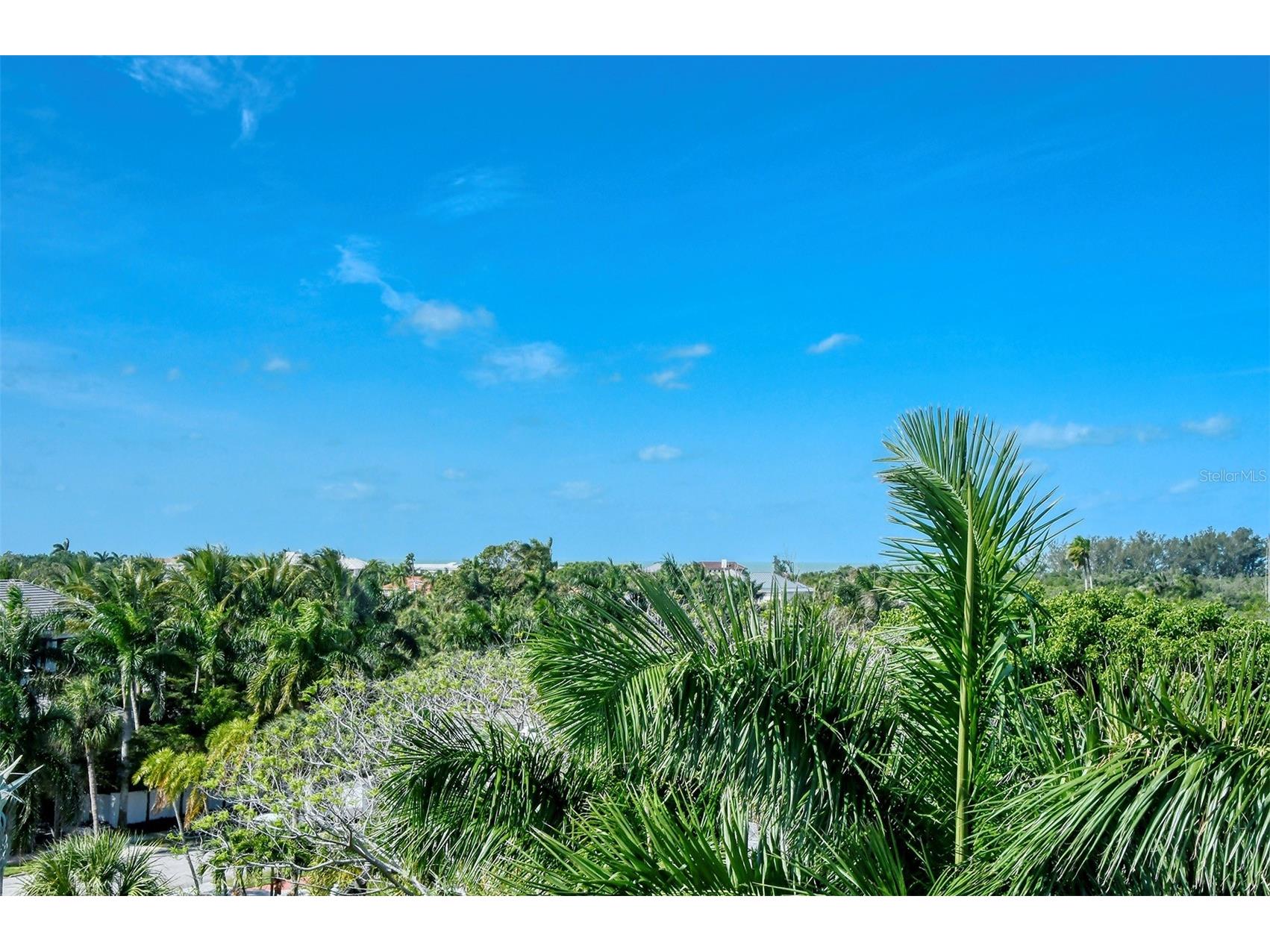 213 N Washington Drive Sarasota FL 34236 - SARASOTA BAY A4531409 image43