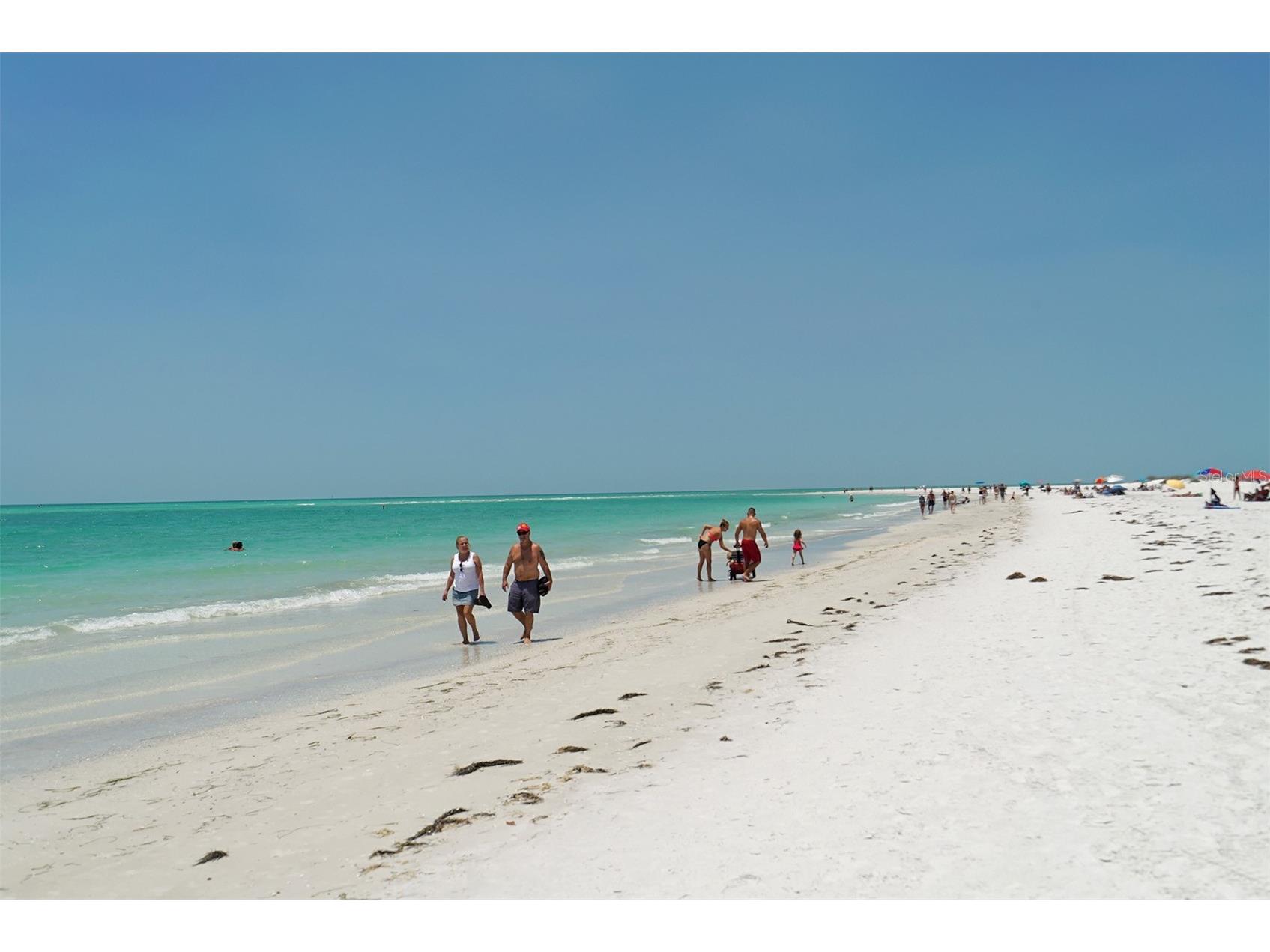 213 N Washington Drive Sarasota FL 34236 - SARASOTA BAY A4531409 image93