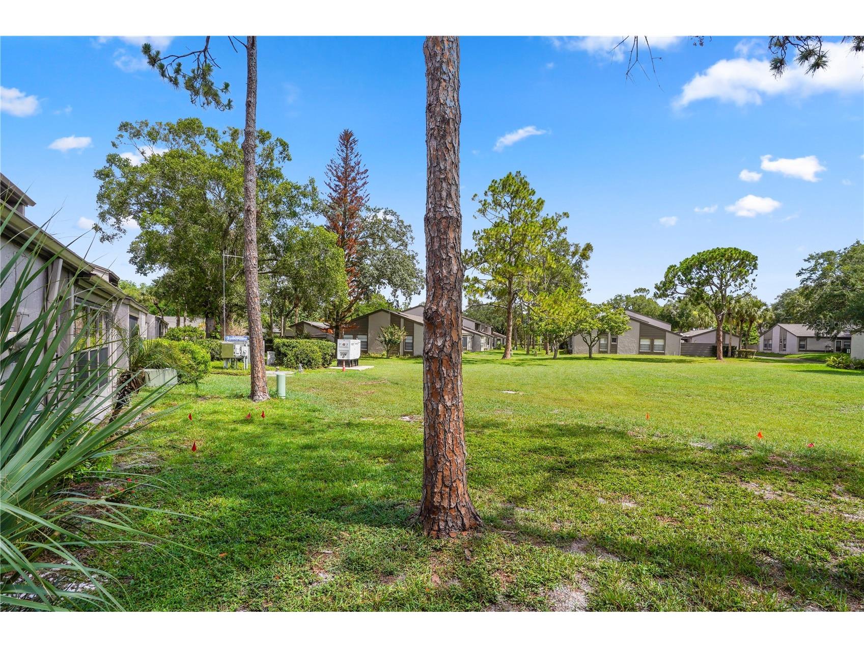 213 Nettlewood Lane Casselberry FL 32730 O6414884 image39