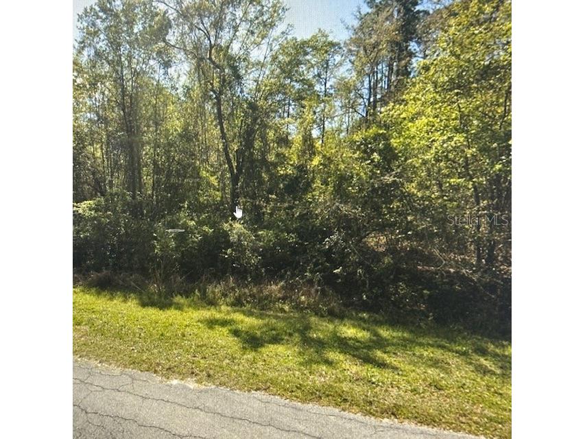 213 Paradise Boulevard Georgetown FL 32139 FC296511 image1