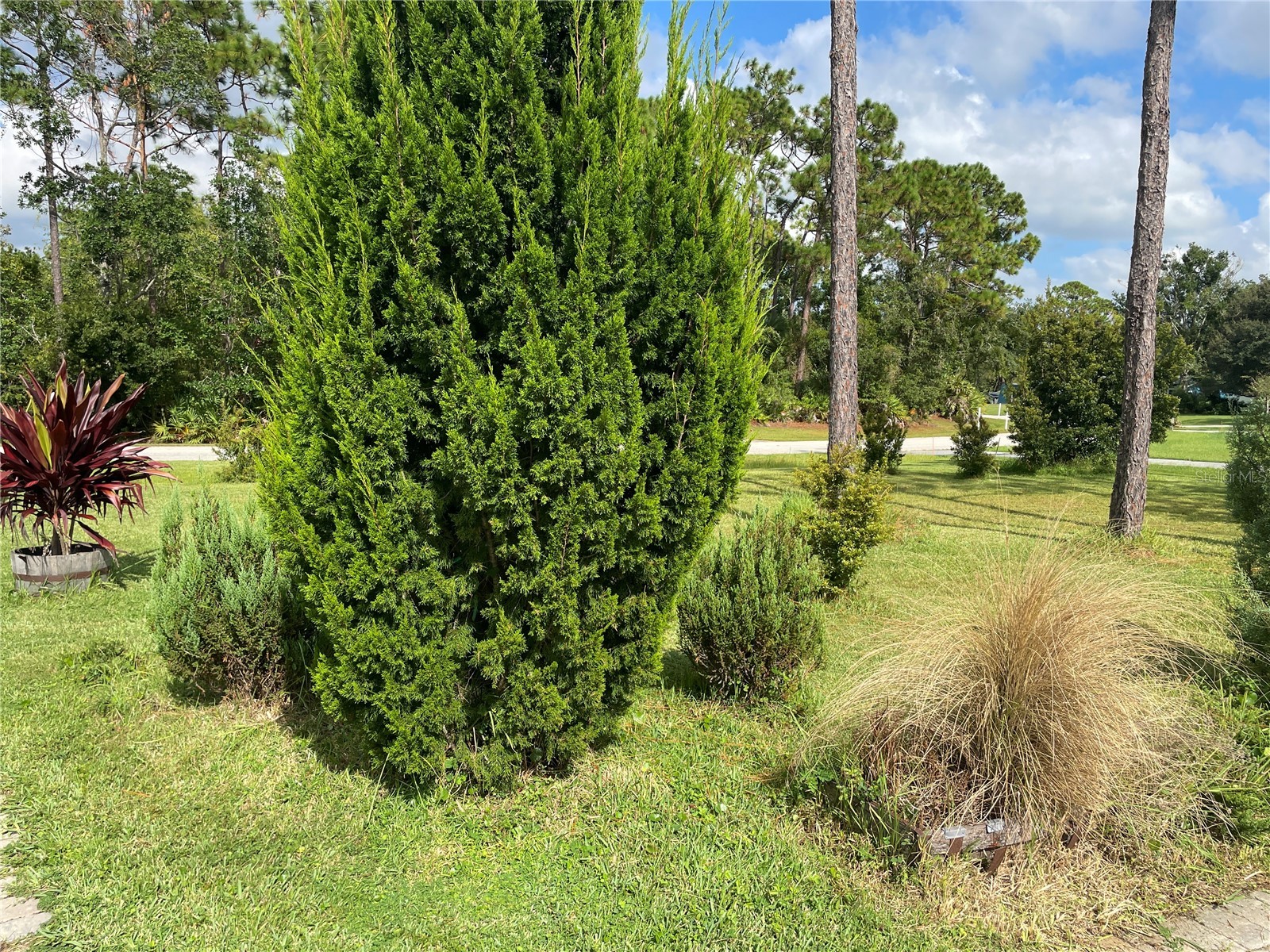 213 Riverbend Road Ormond Beach FL 32174 R4908083 image54